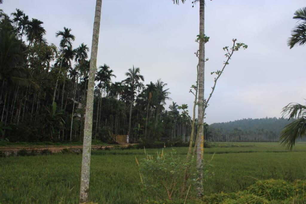 Wayal Wayanad Twin Villa photo