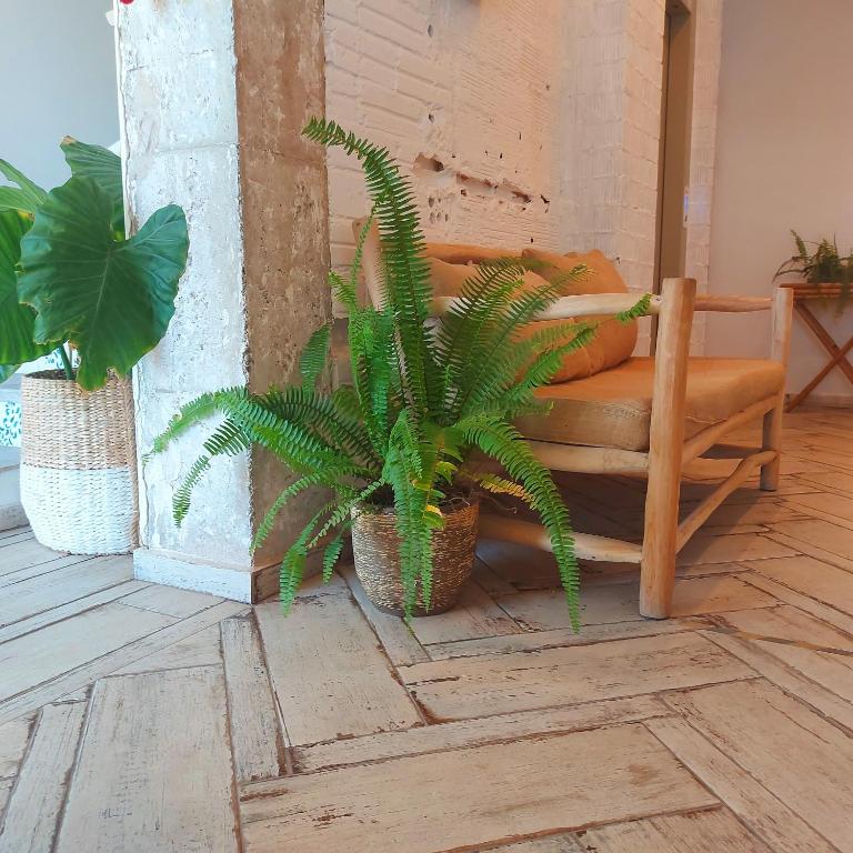 Duna Hotel Boutique - 3