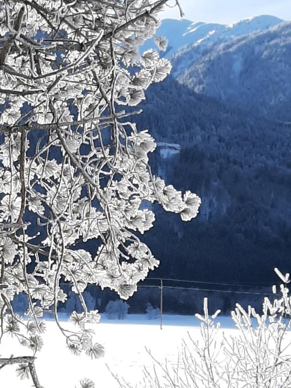 Alpenlodge Kirchbach - 2