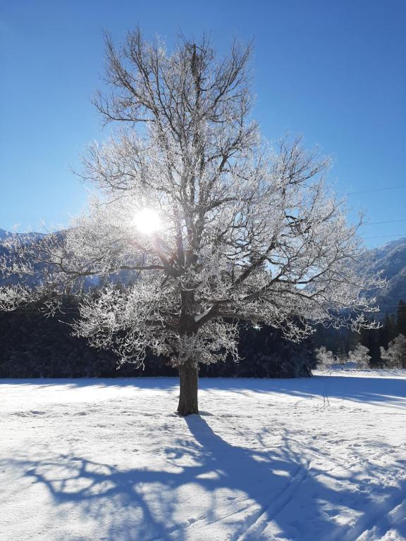 Alpenlodge Kirchbach - 4