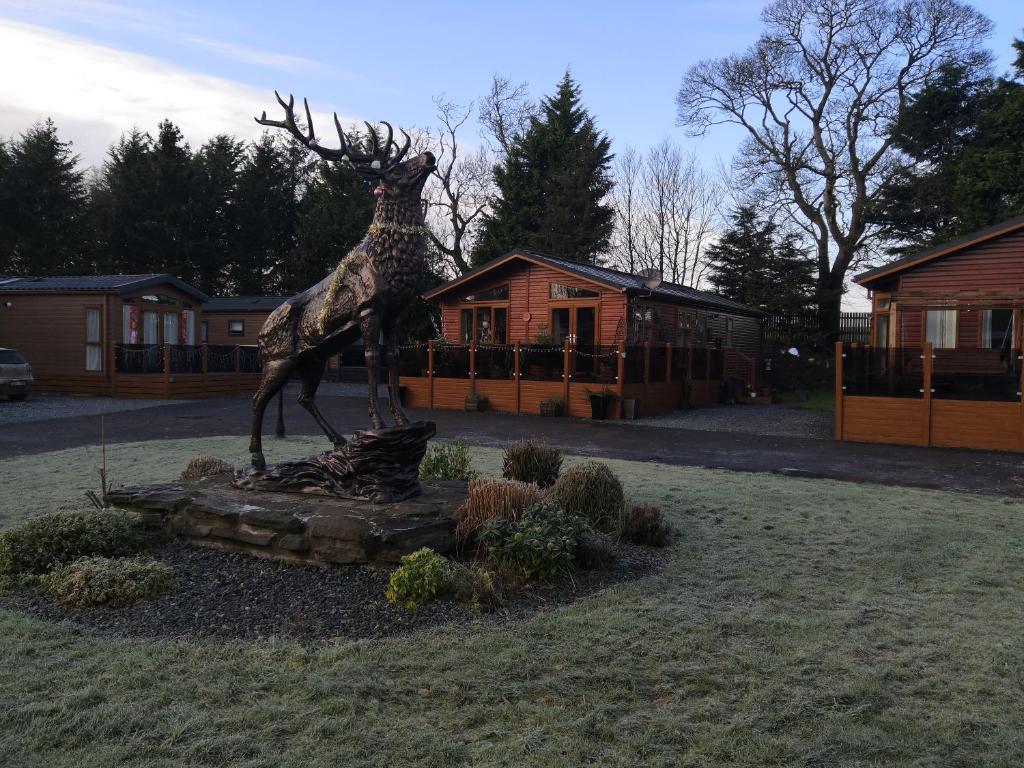 11 Burnside Lodge photo