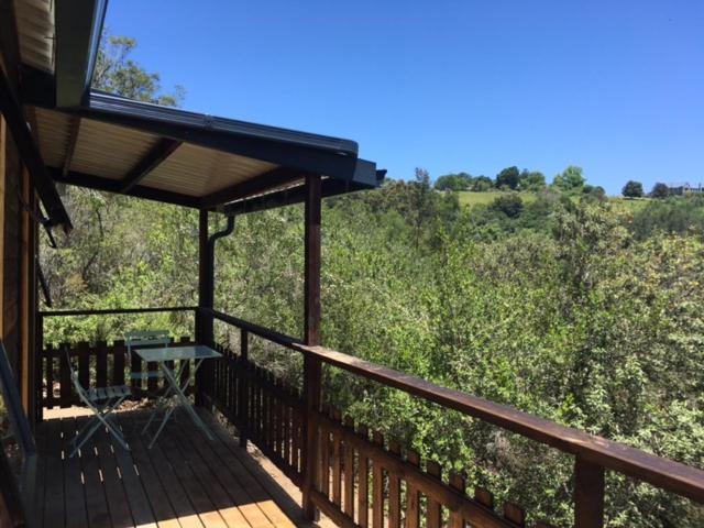 Loerie Mountain Cabin photo