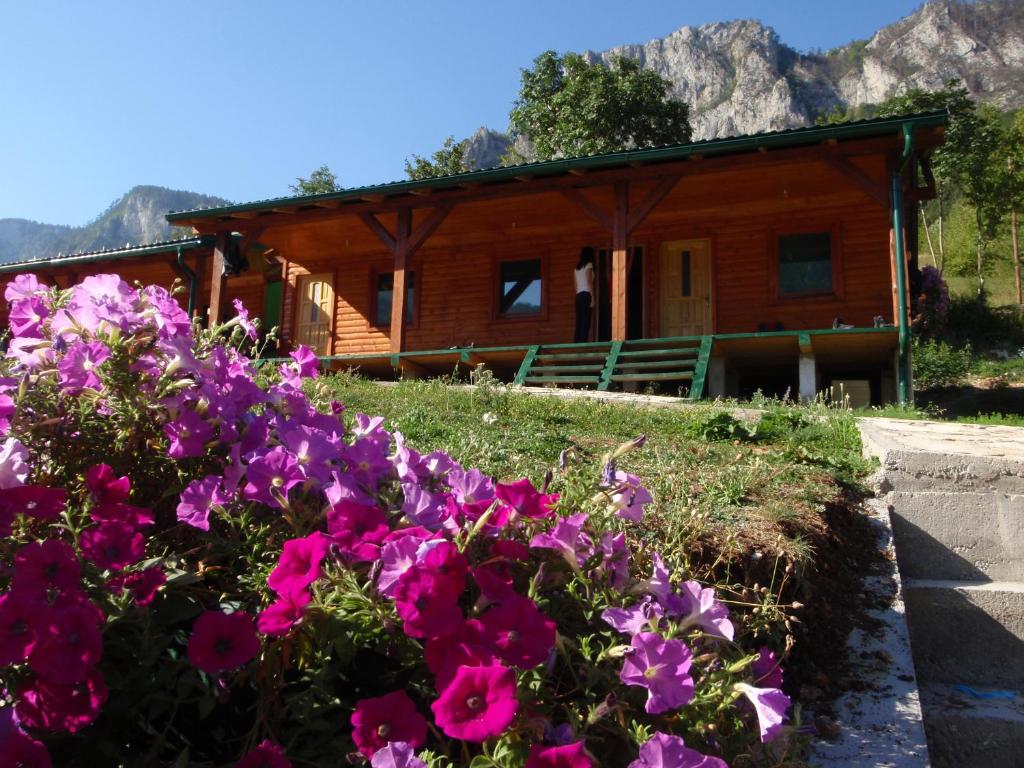 Rafting Camp Green Tara — Hotel in Scepan-Polje