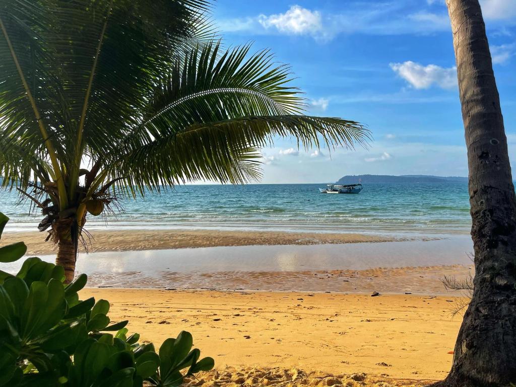 Lonely Beach photo