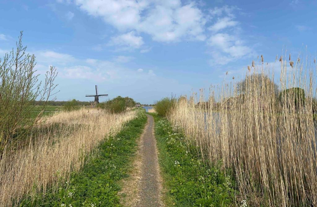 周辺観光スポット