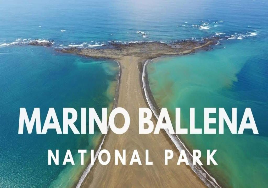 Exterior view, Casa Morpho Uvita Guesthouse in Uvita