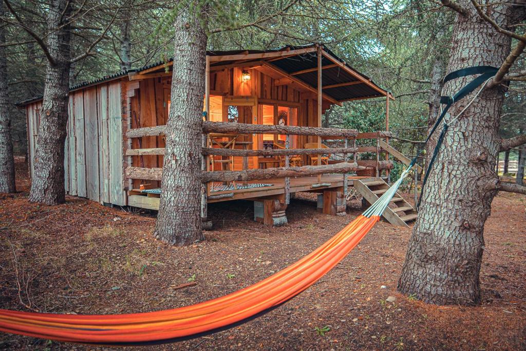 Domaine de la Vitarelle Glamping photo