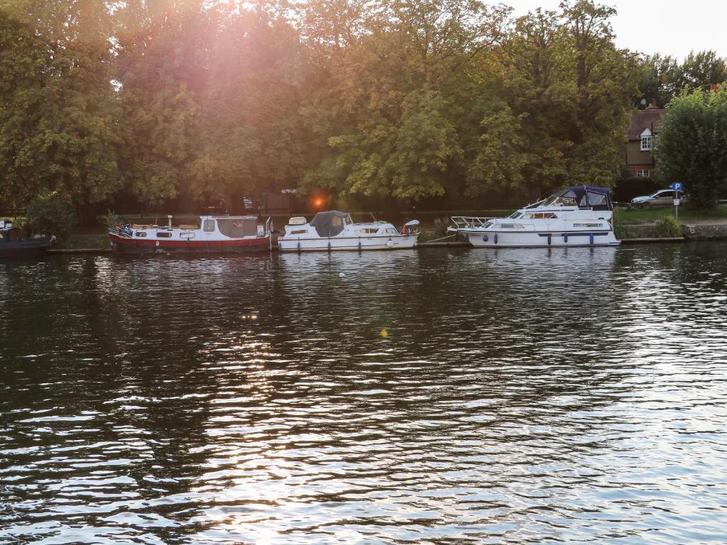 River View - Kingston photo