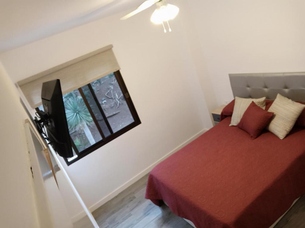 Apartamento Playa La Arena - 5