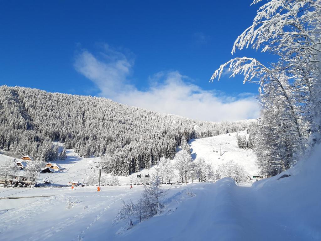 Surrounding environment