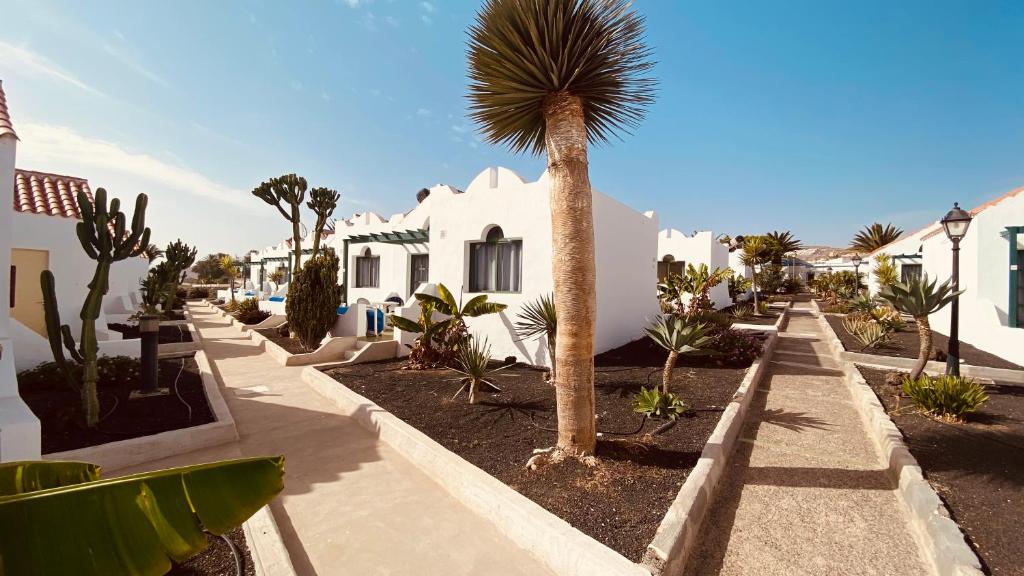 Casthotels Fuertesol Bungalows — Hotel building in Caleta De Fuste, Canary Islands