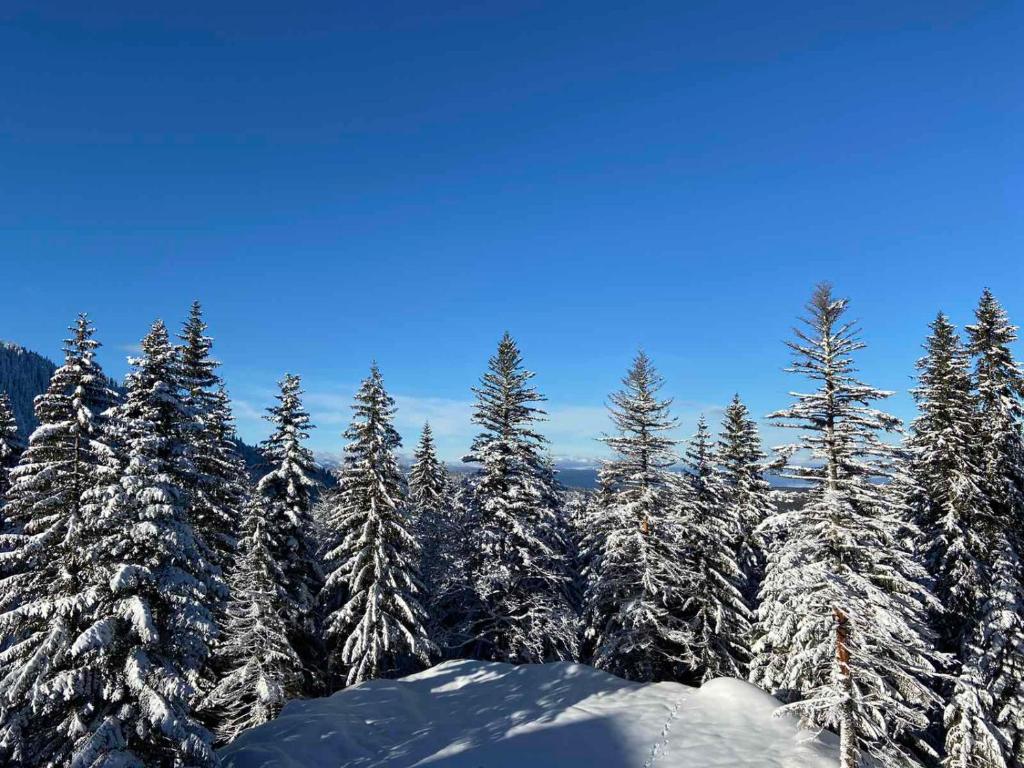 APARTMANI POLARIS JAHORINA - 1
