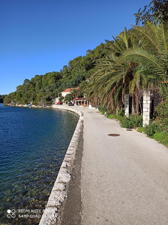 Mljet Sunset Apartments photo