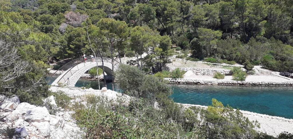 Mljet Sunset Apartments photo