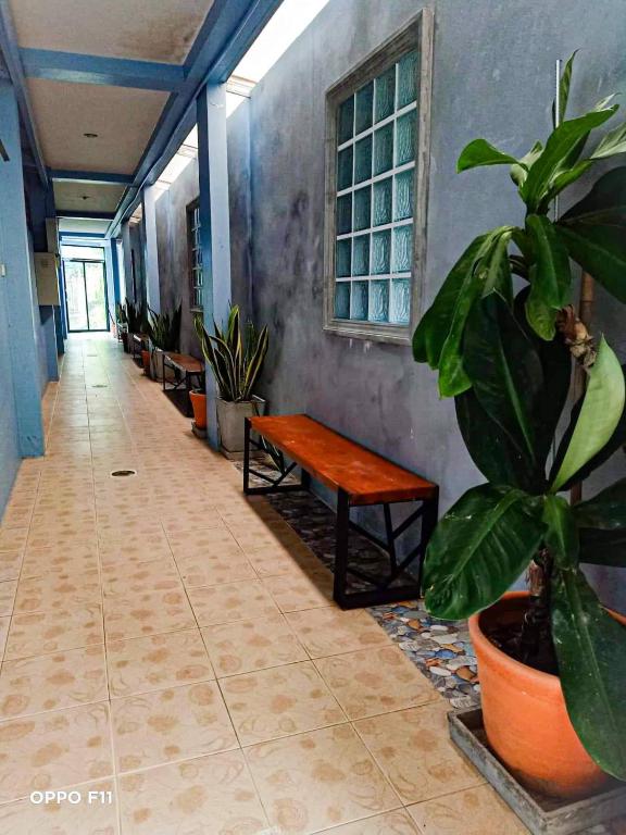 Pailin Hotel photo