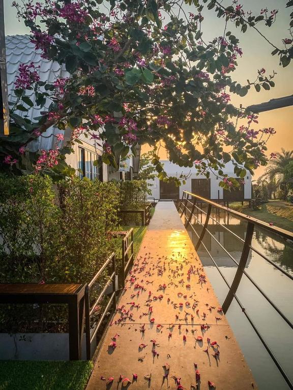 Kaow Tung Benja Homestay