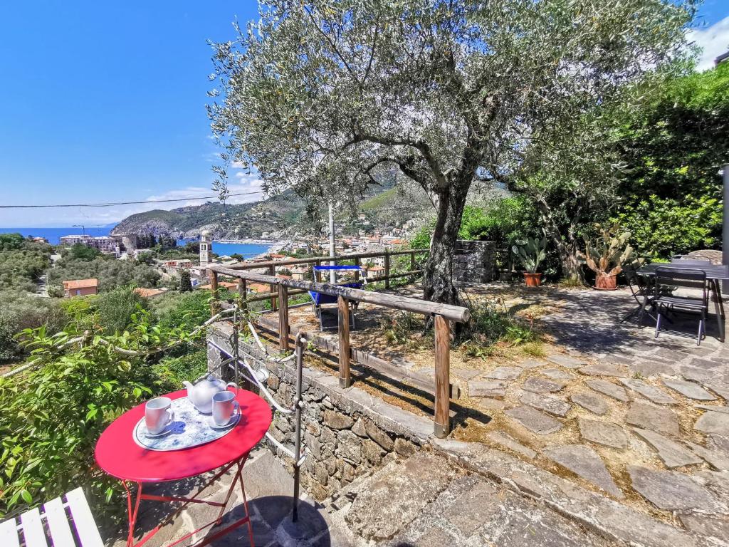 il Frantoio del Mesco - Levanto - 2