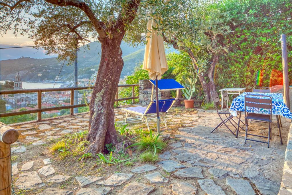 il Frantoio del Mesco - Levanto - 3