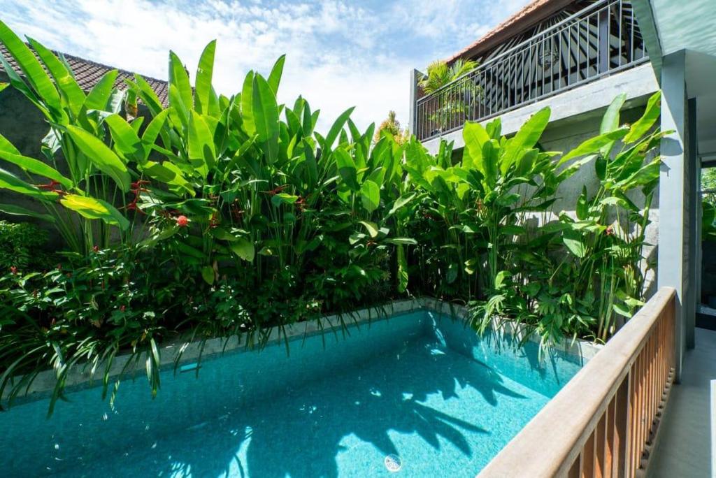 EUFORIA Guest House photo