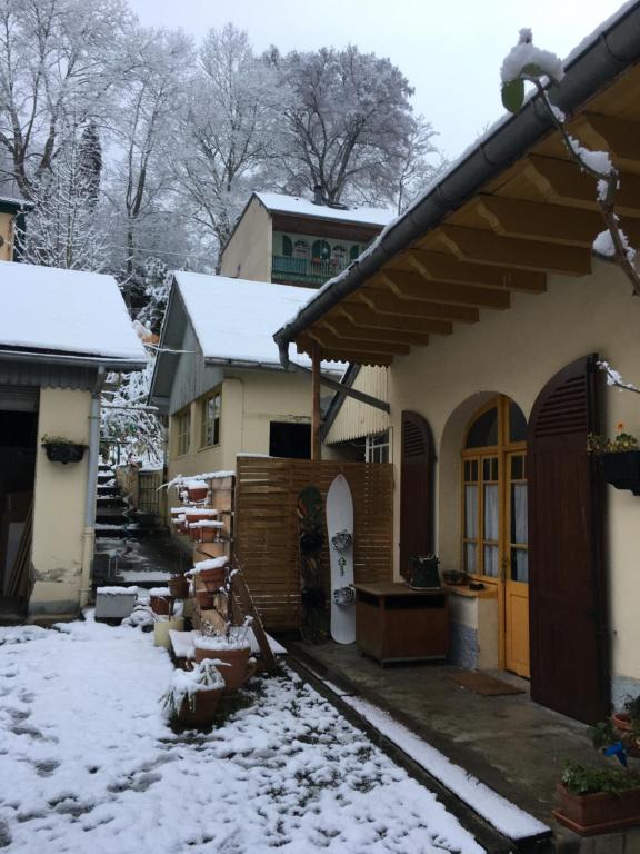 Charmant appartement sur cour, Le Berlingott - 5