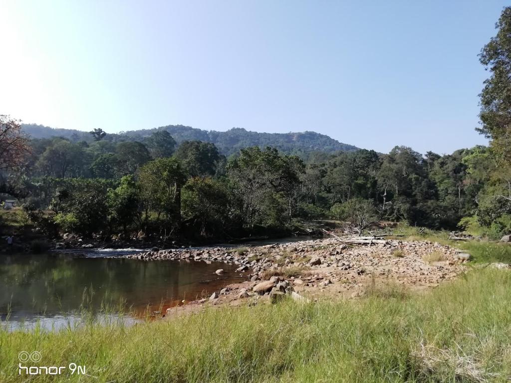 Coorg River Rock Camping photo