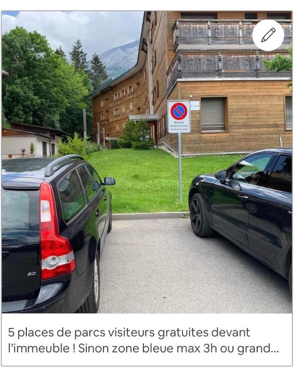 Magnifique appartement aux Diablerets avec vue imprenable - 2