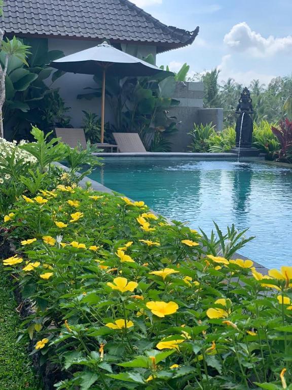 Paraiso Cottage Ubud photo