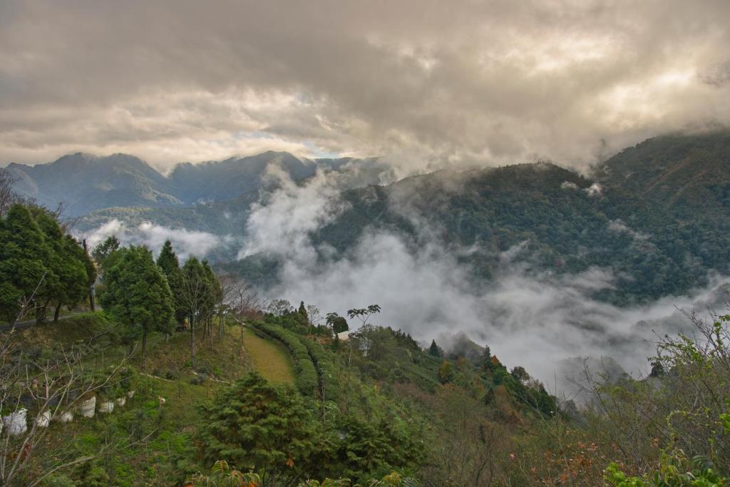 Surrounding environment