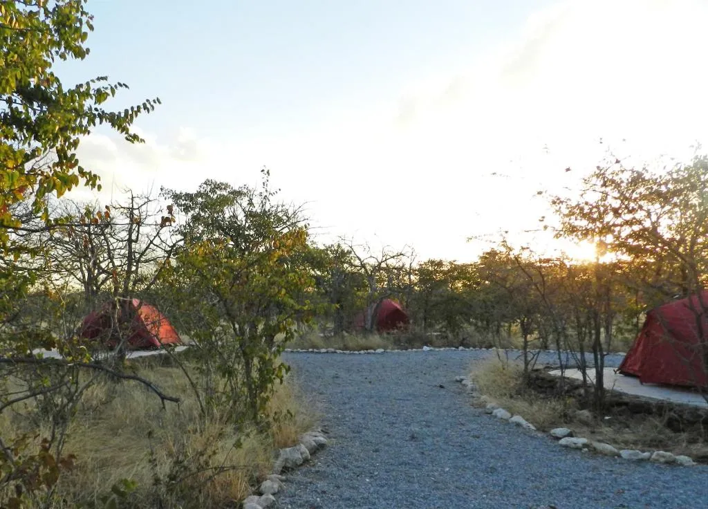 Etosha Village Campsite, hotel in Okaukuejo