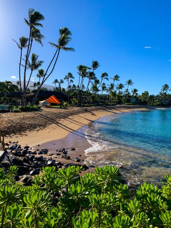 Napili Village Hotel photo