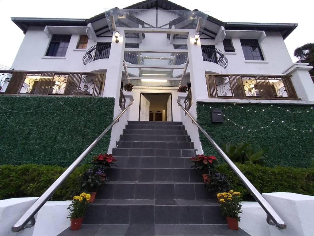 White Rose Apartment photo