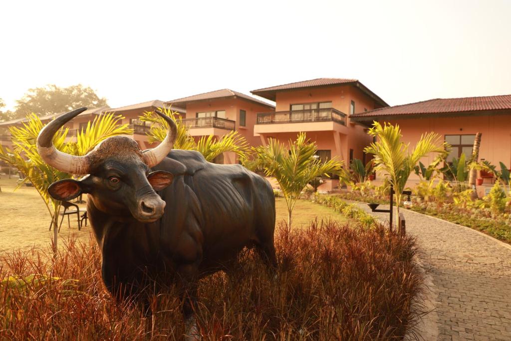 The Pench International's Jungle water park photo