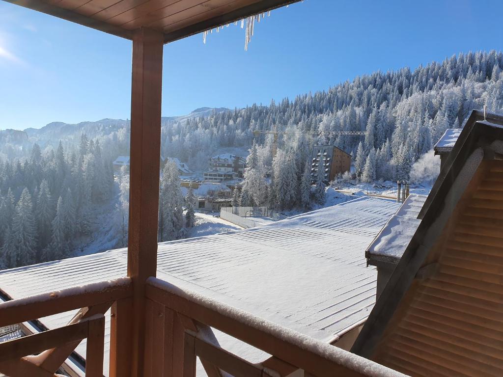 Apartment B331 - Aparthotel Vucko Private host - 5