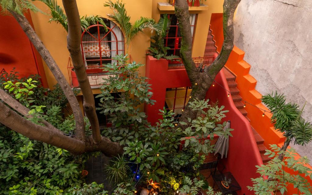 The Red Tree House — Hotel in Mexico City