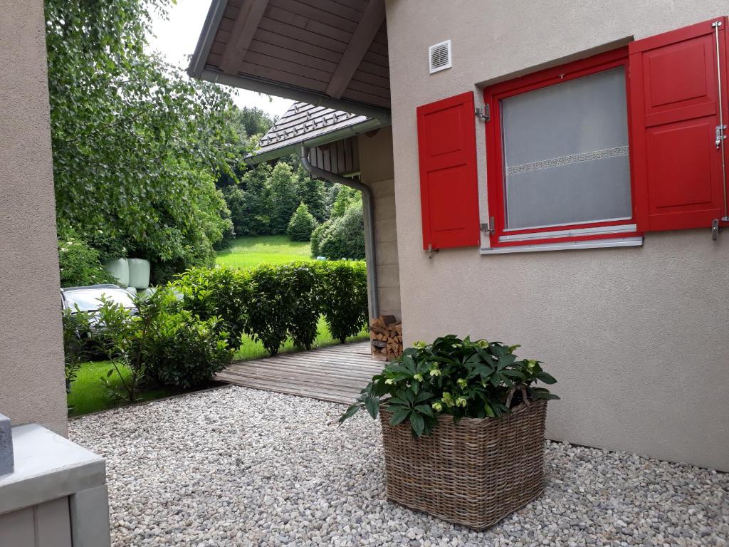 Apartma Natura photo