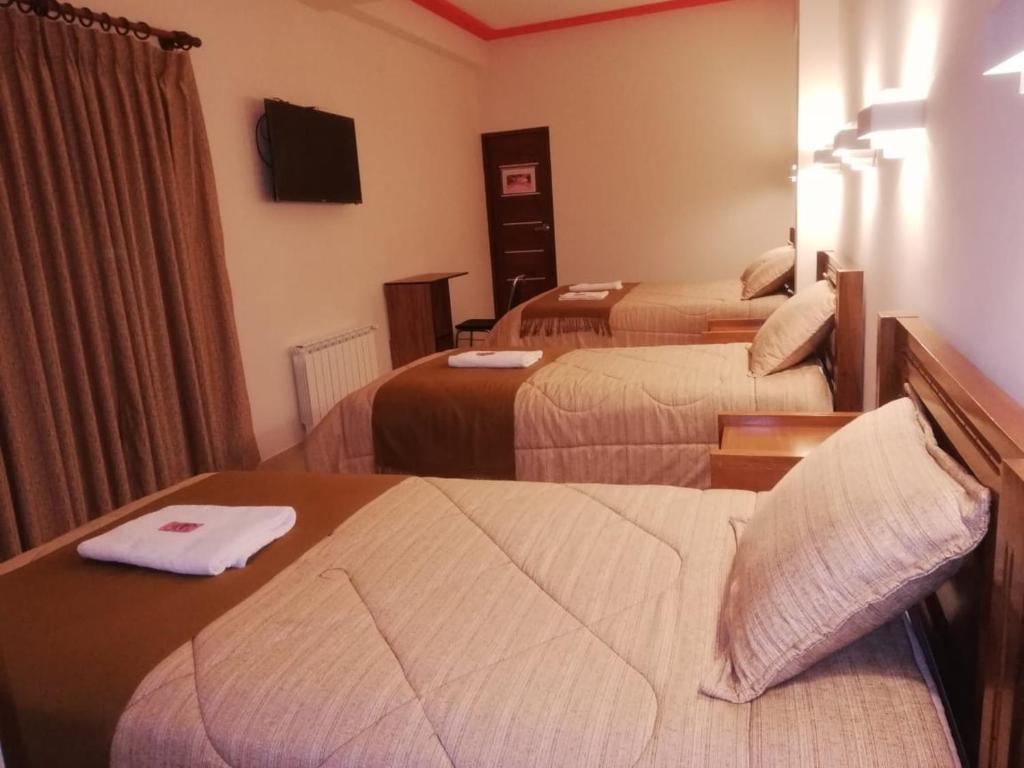 Hotel Los Andes del Sur photo