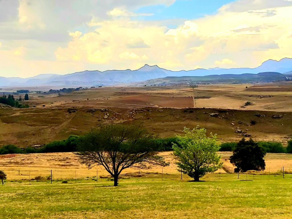 Meerkat and Rehoboth Self Catering Lodges, Clarens photo