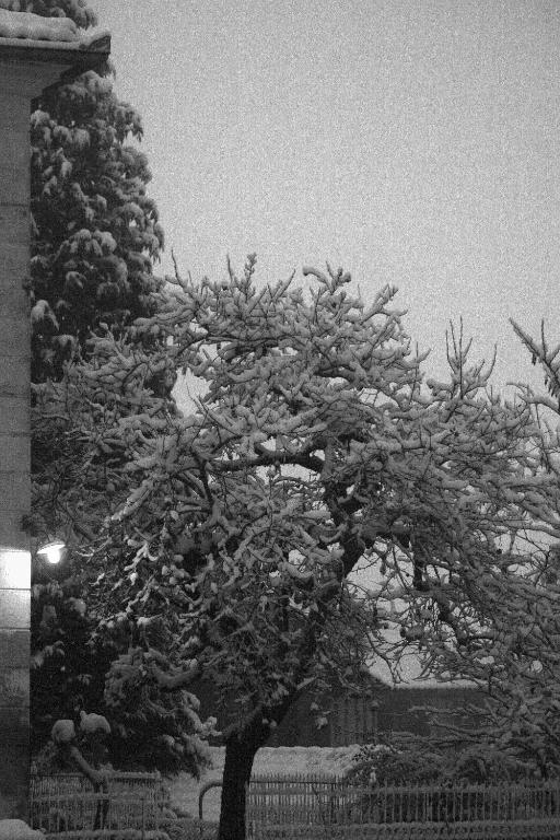 Au Plech ガーデン