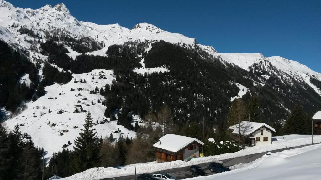 Chalet Edelweiss - 4