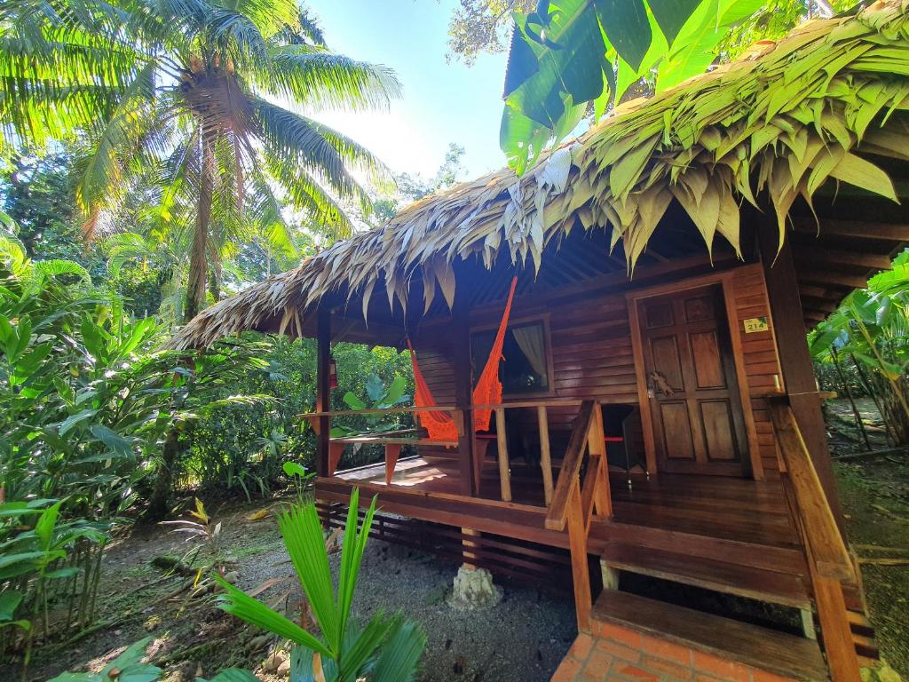 카리블루 수영장