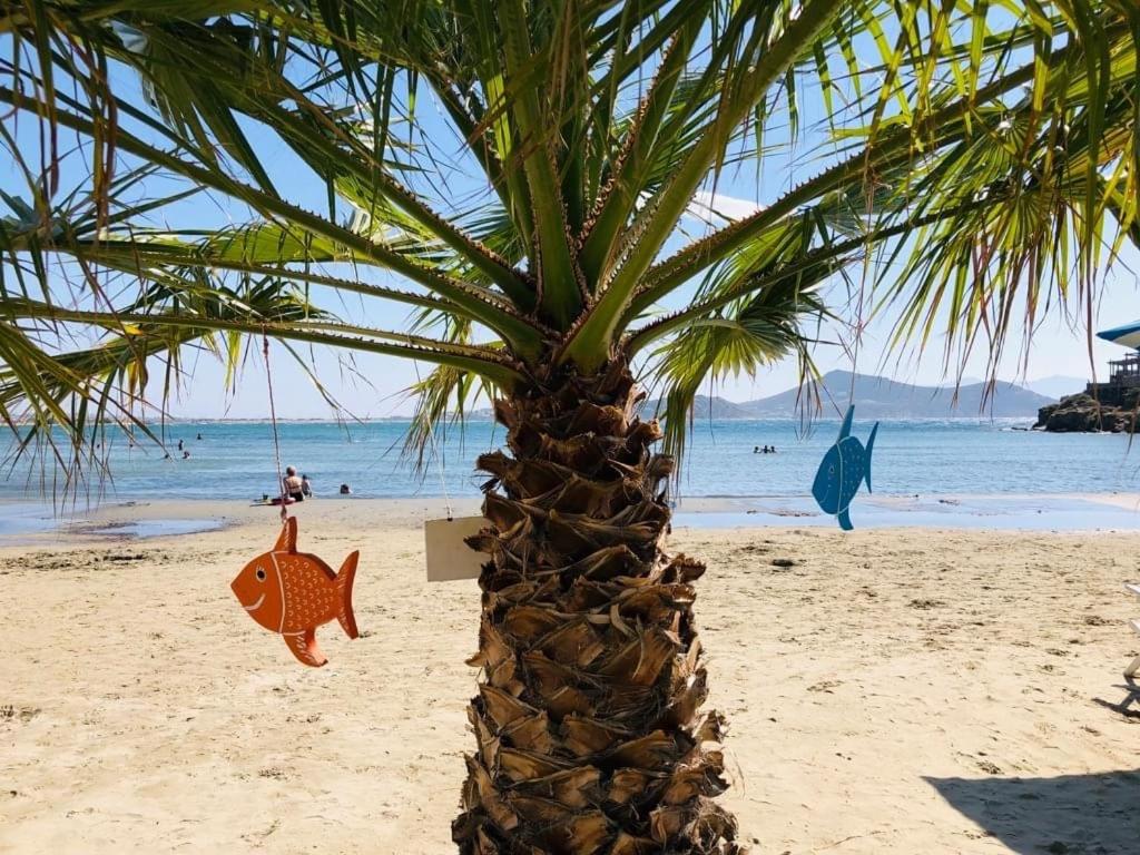 Beach cottage Flisvos ,St.George — Hotel in Naxos Island