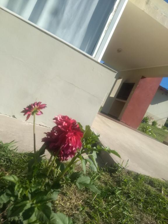 Cabañas Los Troncos - 2