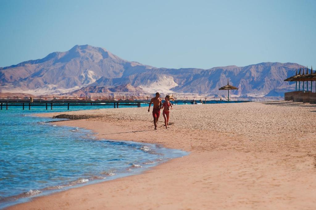 Aa Amwaj Hotel Resort Sharm El Sheikh Aa Amwaj Hotel Resort Sharm El Sheikh