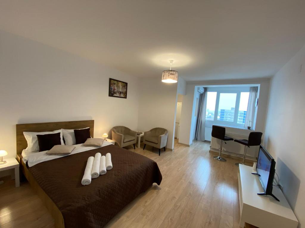 Take Timisoara Apartment, Temešvár