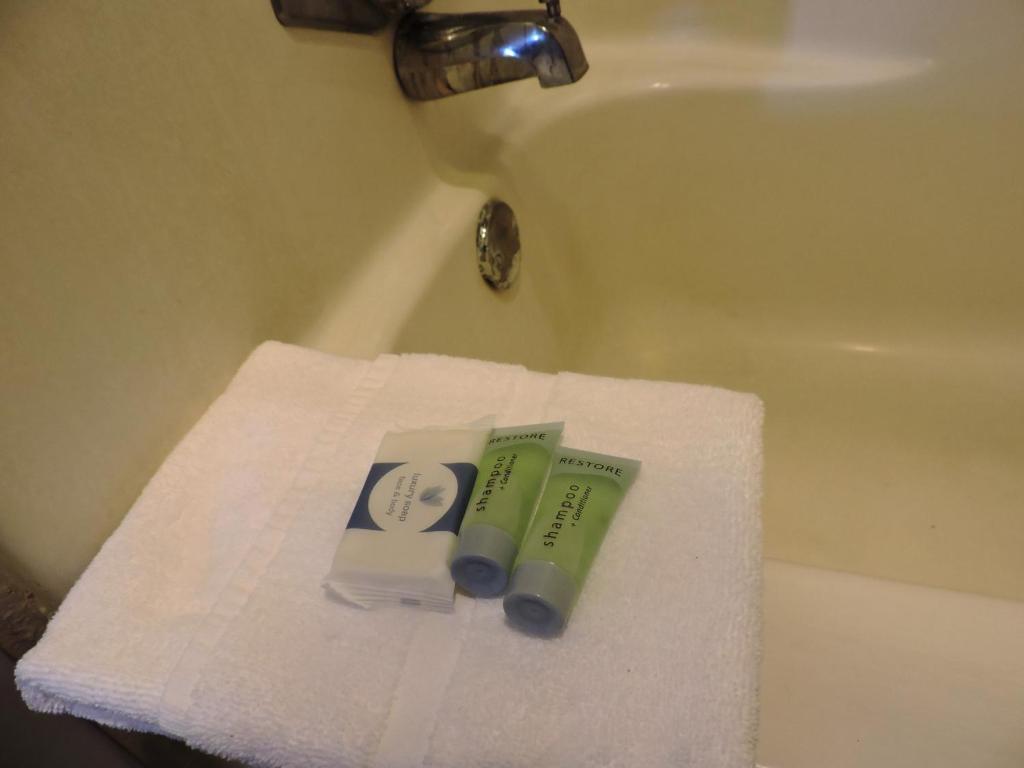 Riata Inn - Marfa photo