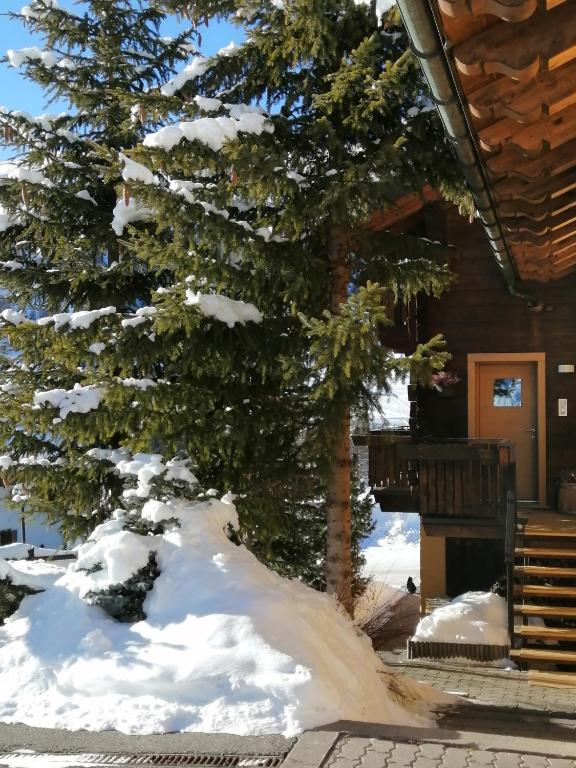 Chalet Freita - 2