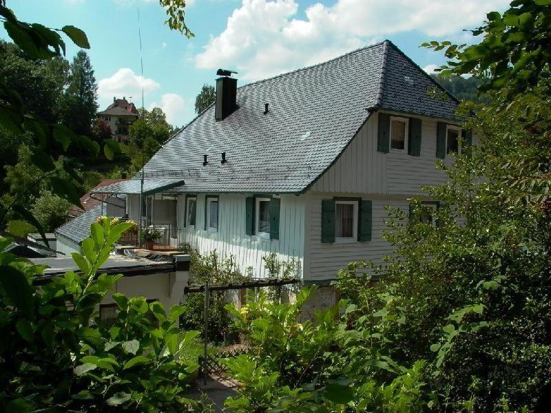 Ferienwohnung-Im-Kelterhaus-Wohnung-Blauer-Salon photo