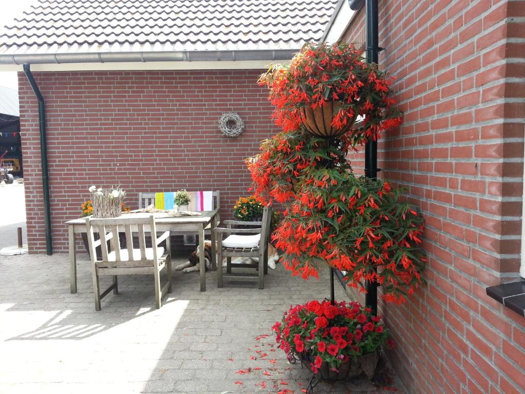 B&B de Rivierduin photo