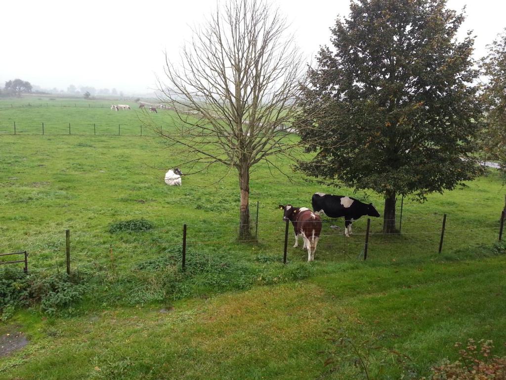 B&B de Rivierduin photo