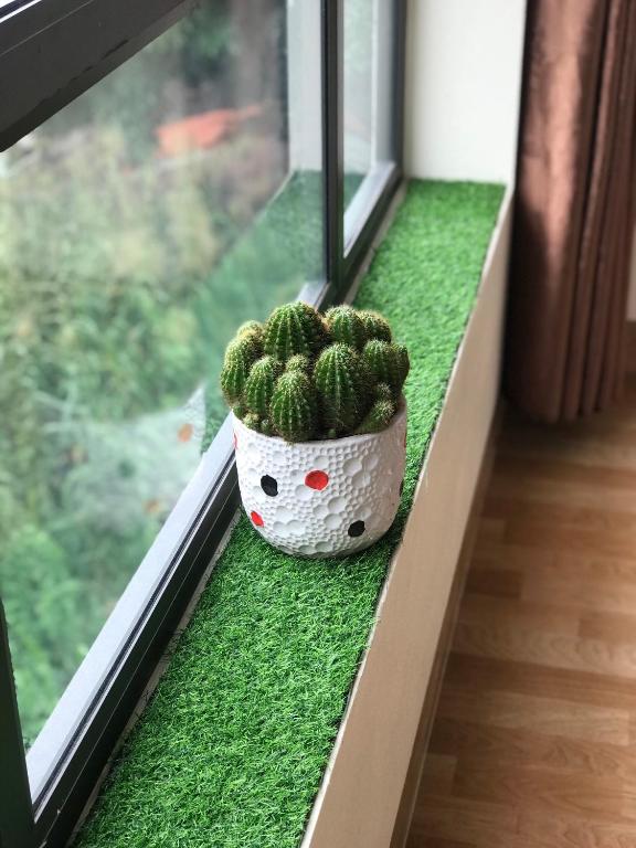 Trang An Dragon Homestay